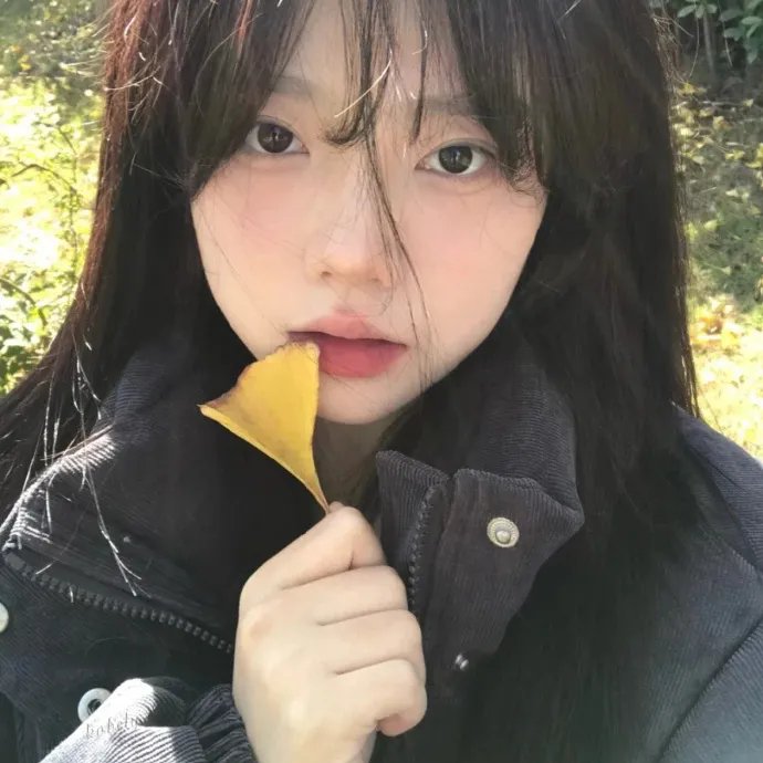 兰维尔的荒野求生