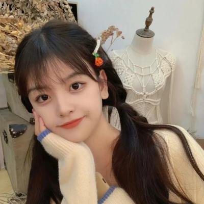 孤狼之血2